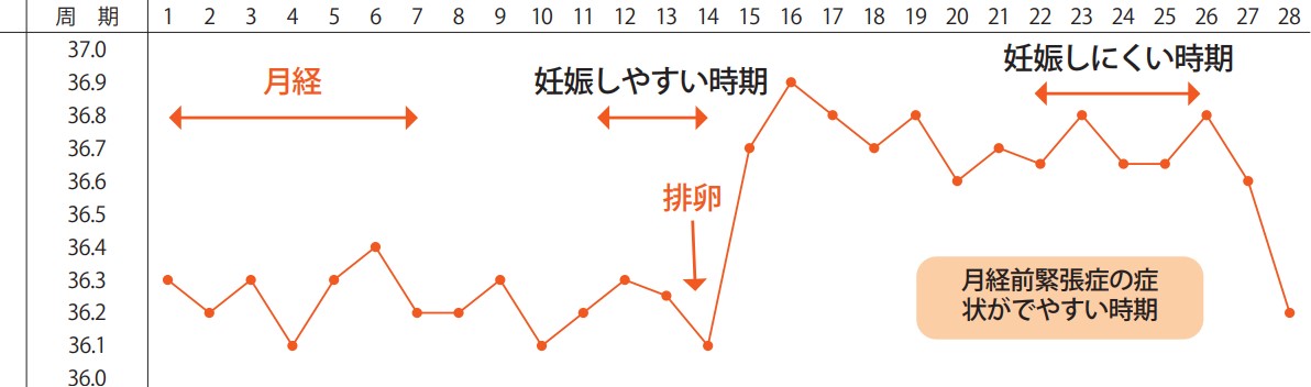 厚生労働省｜知っていますか？
男性のからだのこと、女性のからだのこと